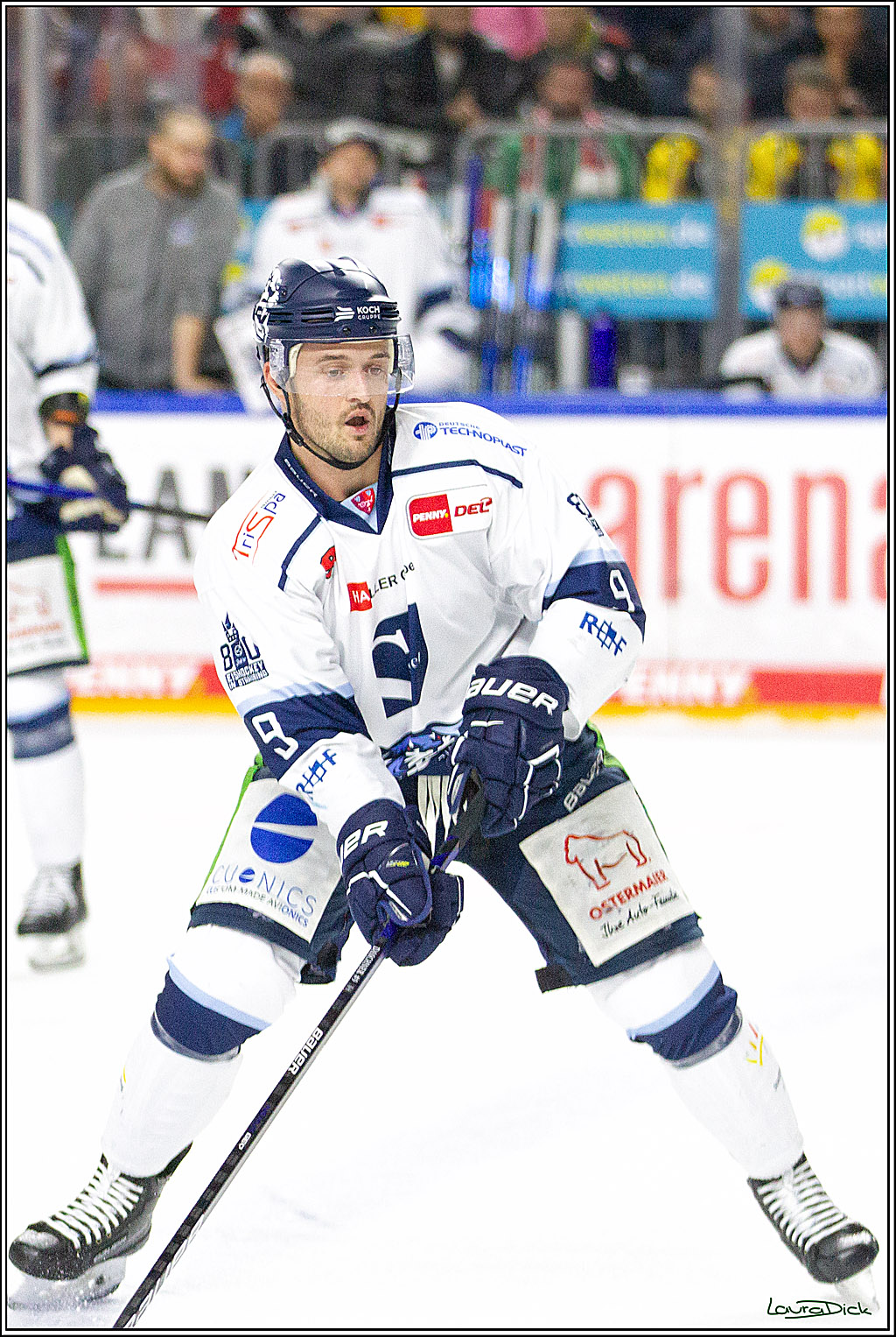 PENNY DEL;  Koelner Haie - Straubing Tigers; Koeln, 15.10.2021